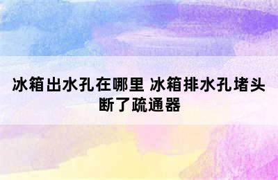 冰箱出水孔在哪里 冰箱排水孔堵头断了疏通器